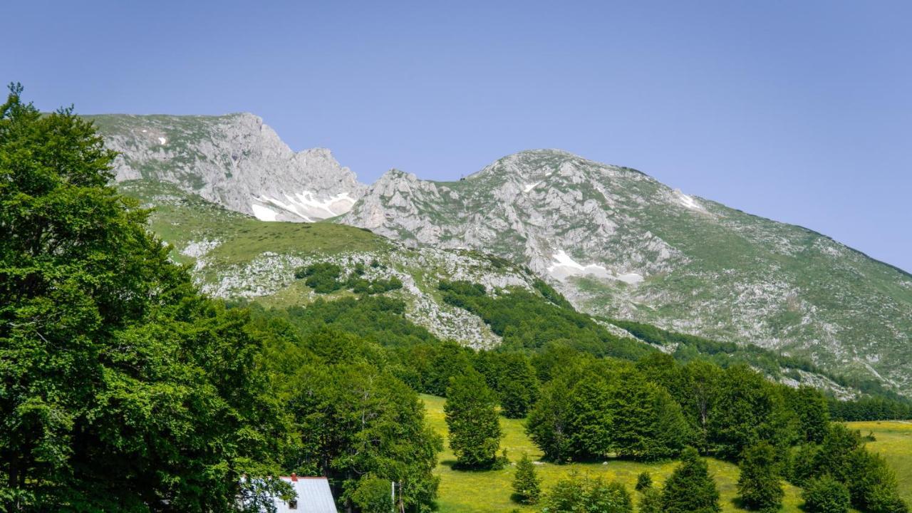 Mountain House Drveni Raj Villa Zabljak  Exterior photo